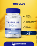 Tribulus 500mg 60 cápsulas